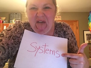 picture-for-systems